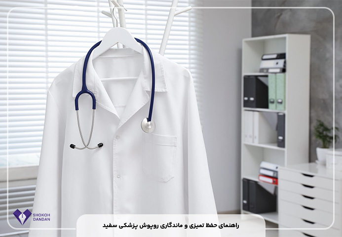 راهنمای حفظ تمیزی و ماندگاری